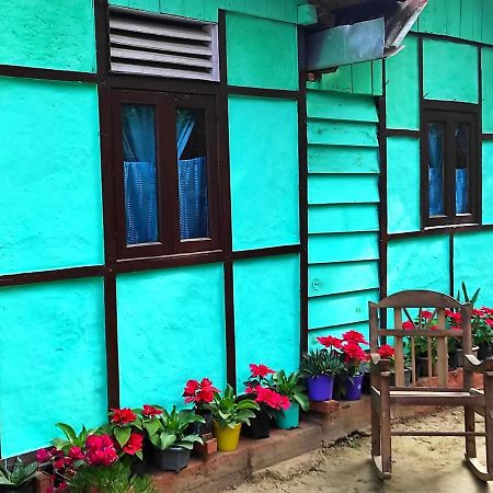 Live In Nature Darjeeling  Luaran gambar
