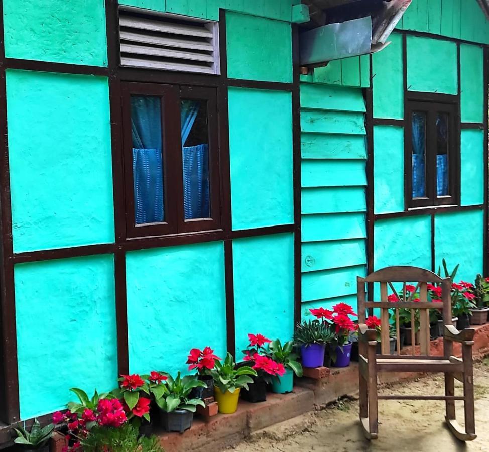 Live In Nature Darjeeling  Luaran gambar