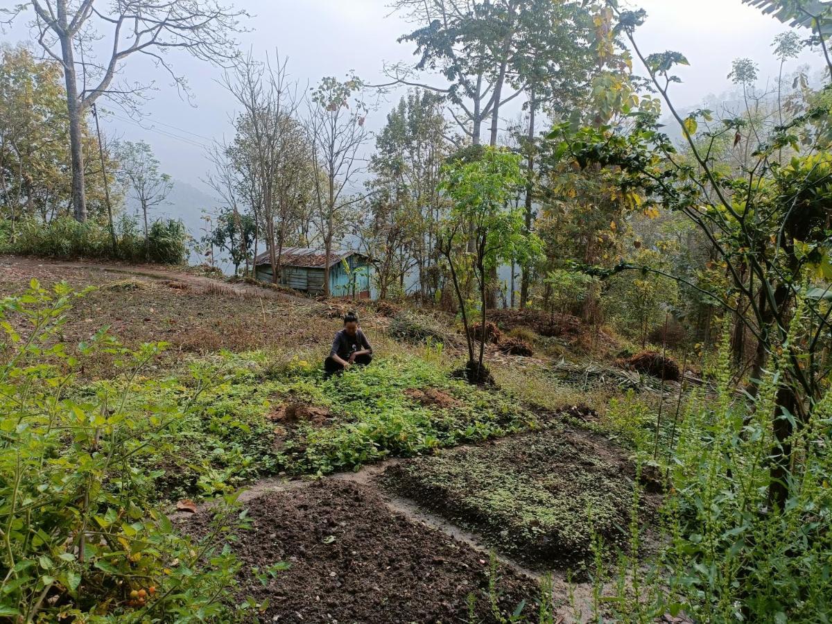 Live In Nature Darjeeling  Luaran gambar