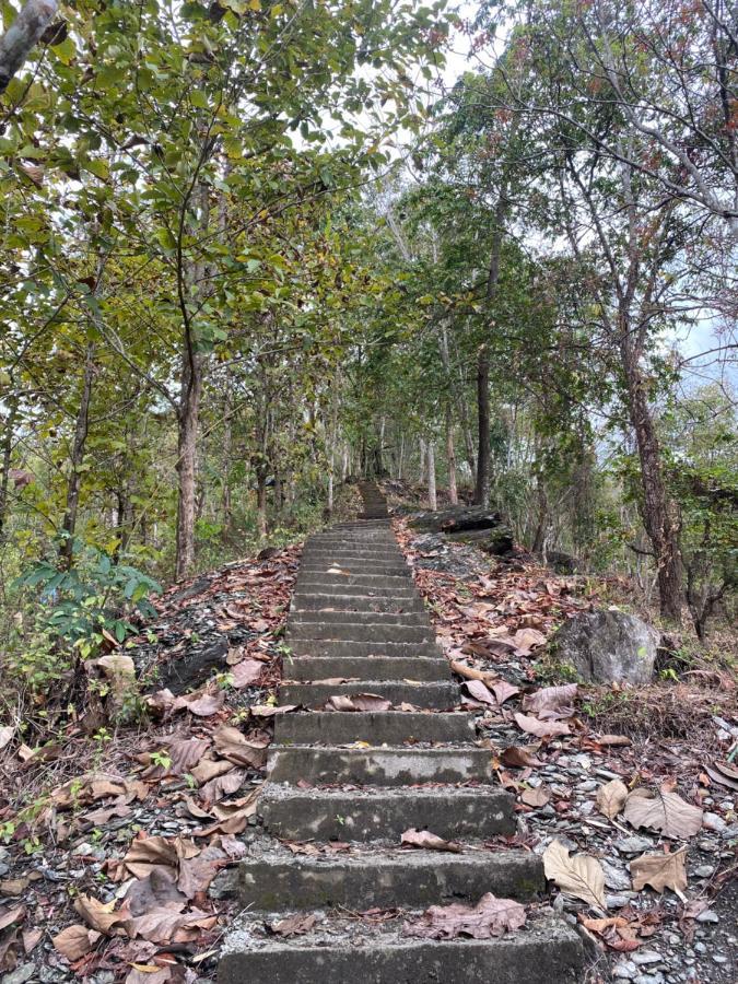 Live In Nature Darjeeling  Luaran gambar