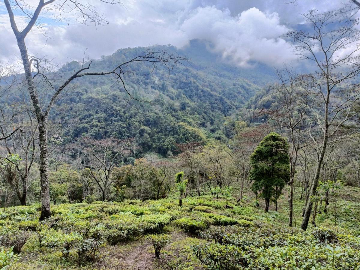 Live In Nature Darjeeling  Luaran gambar