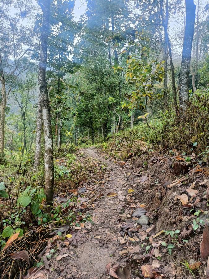 Live In Nature Darjeeling  Luaran gambar