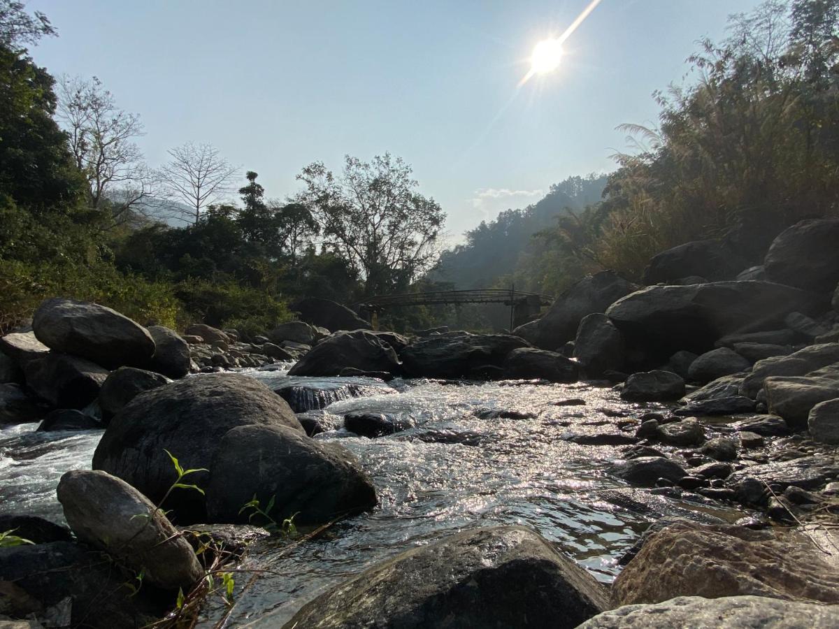 Live In Nature Darjeeling  Luaran gambar
