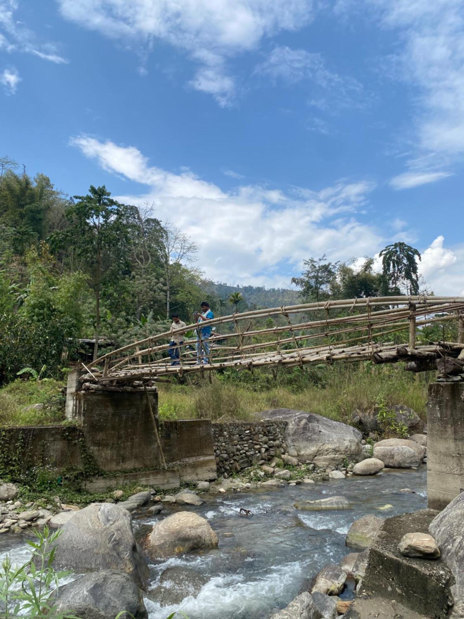 Live In Nature Darjeeling  Luaran gambar